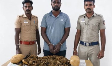 தூத்துக்குடியில் 8 கிலோ கஞ்சா பறிமுதல்: இருசக்கர வாகனத்தில் விற்பனைக்கு கொண்டு வந்த வாலிபர் கைது