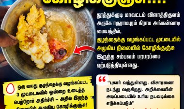 விளாத்திகுளம் அருகே அங்கன்வாடி முட்டையில் அழுகிய கோழிக்குஞ்சு...! பெற்றோர் அதிர்ச்சி