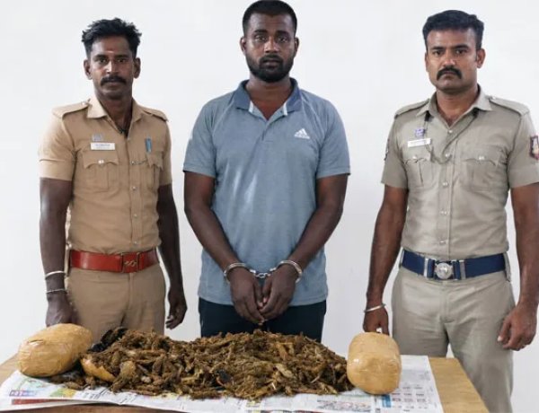 தூத்துக்குடியில் 8 கிலோ கஞ்சா பறிமுதல்: இருசக்கர வாகனத்தில் விற்பனைக்கு கொண்டு வந்த வாலிபர் கைது