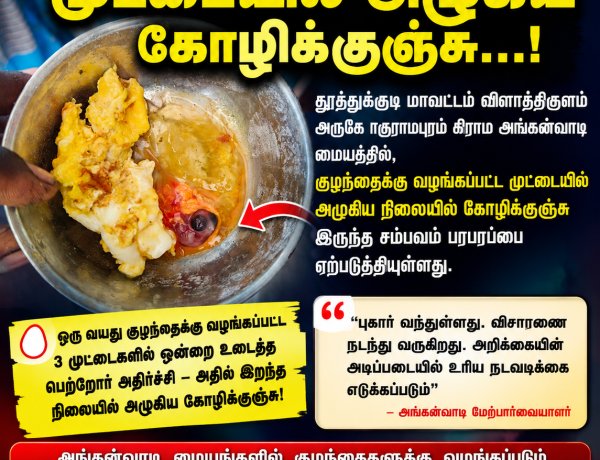 விளாத்திகுளம் அருகே அங்கன்வாடி முட்டையில் அழுகிய கோழிக்குஞ்சு...! பெற்றோர் அதிர்ச்சி