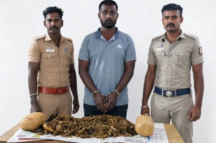 தூத்துக்குடியில் 8 கிலோ கஞ்சா பறிமுதல்: இருசக்கர வாகனத்தில் விற்பனைக்கு கொண்டு வந்த வாலிபர் கைது