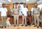 தூத்துக்குடி காவல்துறையில் புதிதாக 2 மோப்ப நாய்கள் பணி சேர்ப்பு