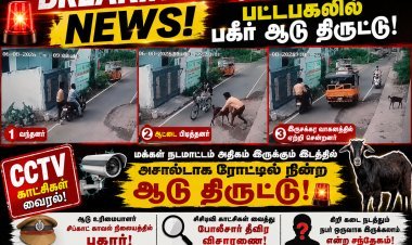 மக்கள் நடமாட்டம் இருக்கேன்னு கூட பார்க்கல!” — பட்டப்பகலில் சாலையில் நின்ற ஆடு திருட்டு; சிசிடிவி காட்சிகள் வைரல்!