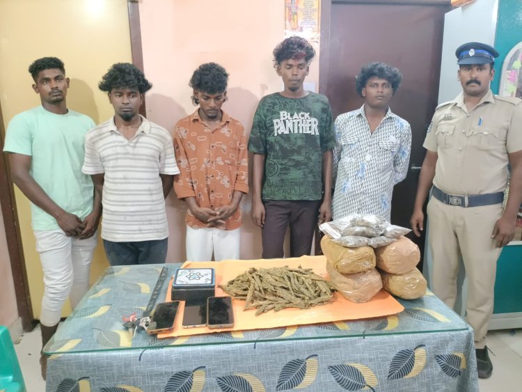 சிவந்தாகுளத்தில் கஞ்சா வேட்டை: 5 இளைஞர்கள் கைது – 5.5 கிலோ கஞ்சா, 2 இருசக்கர வாகனங்கள் பறிமுதல்!