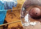 ஆதிச்சநல்லூரில் மழை பாதிப்பு: தண்ணீரில் மூழ்கிய முதுமக்கள் தாழிகள்